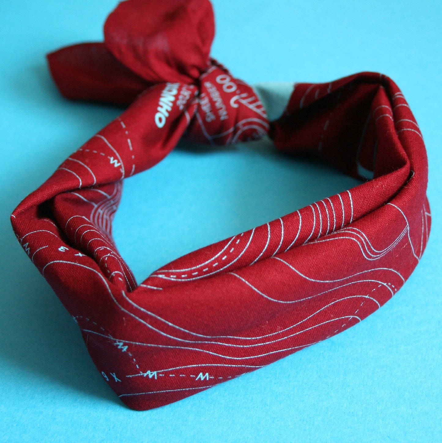 Egg Survey Bandana, Burgundy